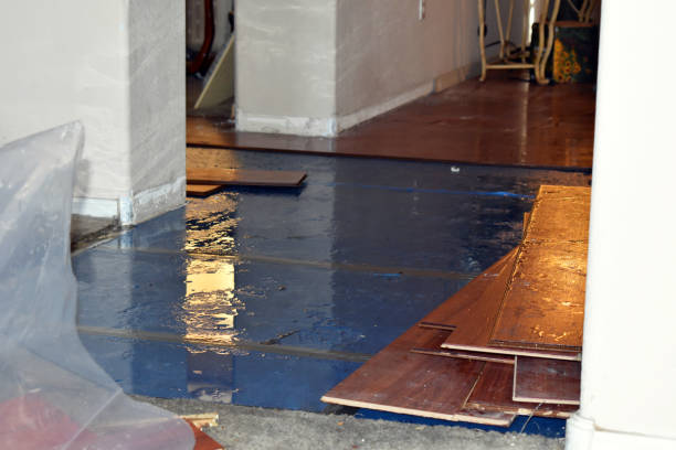 Professional Water Damage Restoration technician working in Guntersville, AL